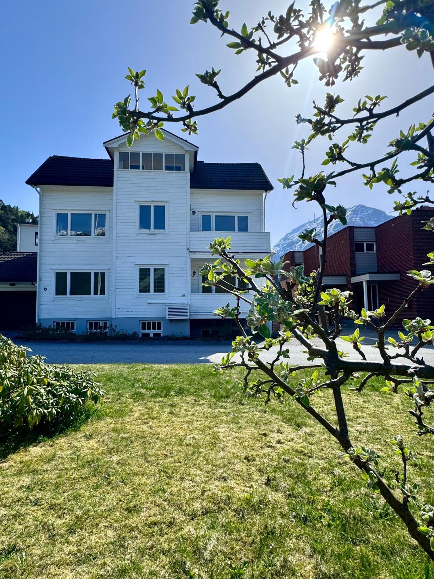 Villa Utsikten Romsdalen Åndalsnes Buitenkant foto