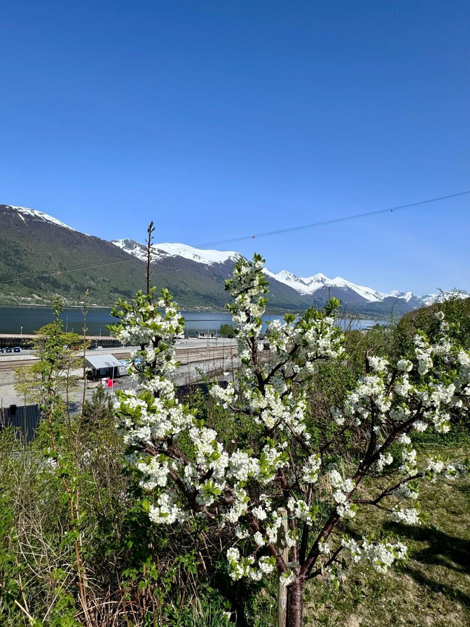 Villa Utsikten Romsdalen Åndalsnes Buitenkant foto